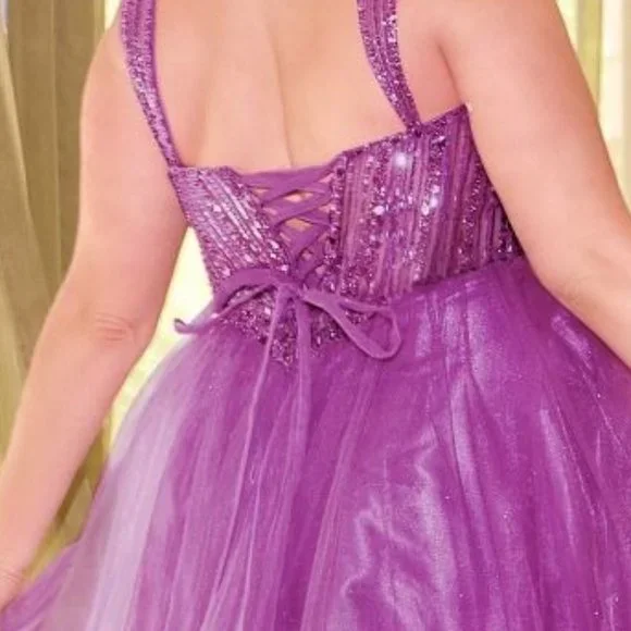 NEW FORMAL SLEEVELESS PLUS SIZE A-LINE TULLE GOWN EMBROIDERED W/ SEQUINS CD0217C